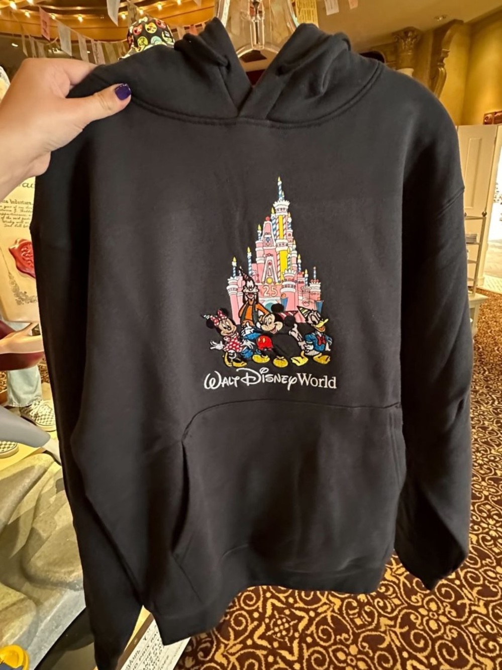 WDW 25th Anniversary Vault character cake castle hoodie Disney World